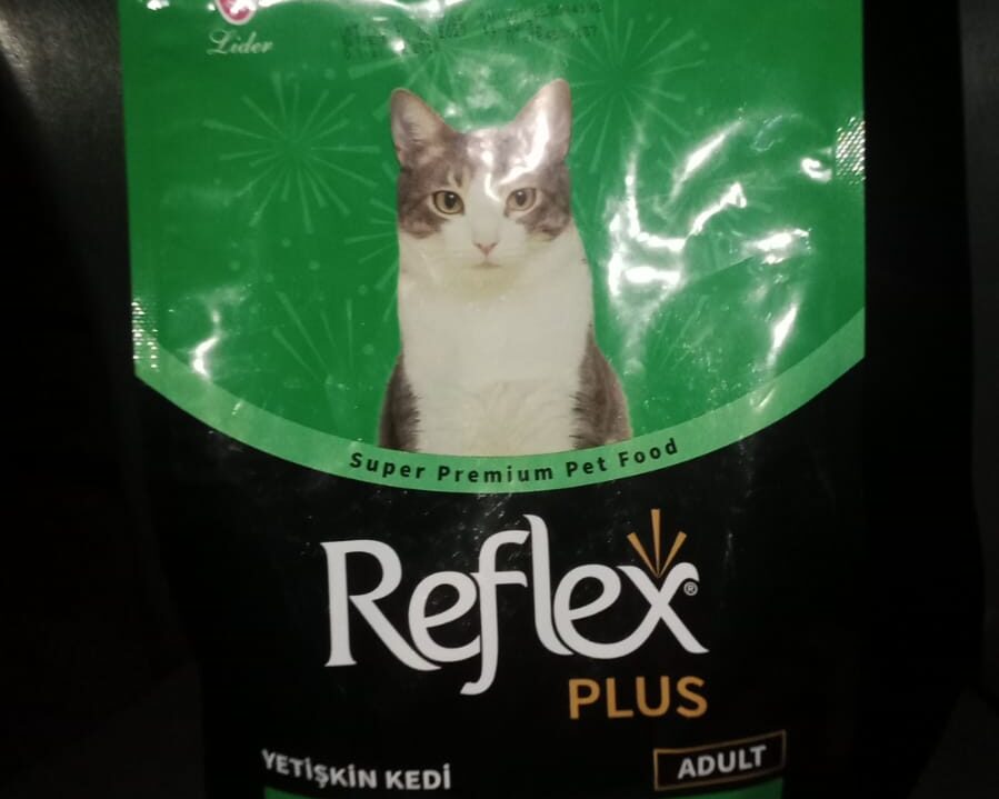 WhatsApp Image 2026-01-29 at 11.33.37 AM