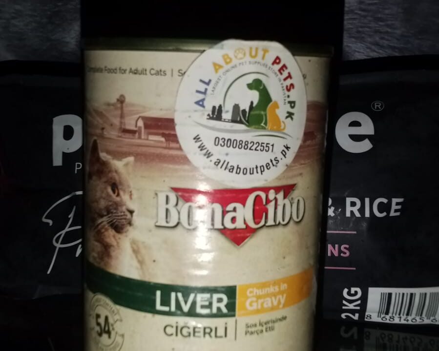 WhatsApp Image 2026-01-29 at 11.33.38 AM (1)