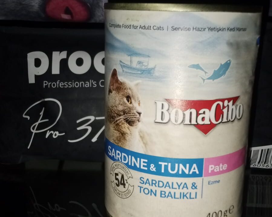 WhatsApp Image 2026-01-29 at 11.33.38 AM (2)