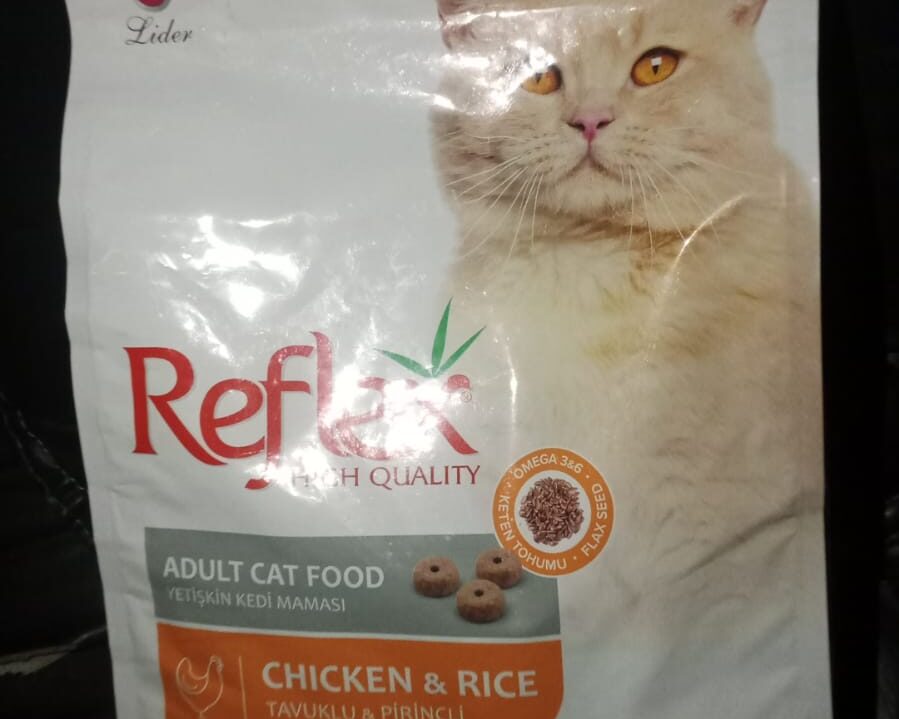 WhatsApp Image 2026-01-29 at 11.33.38 AM