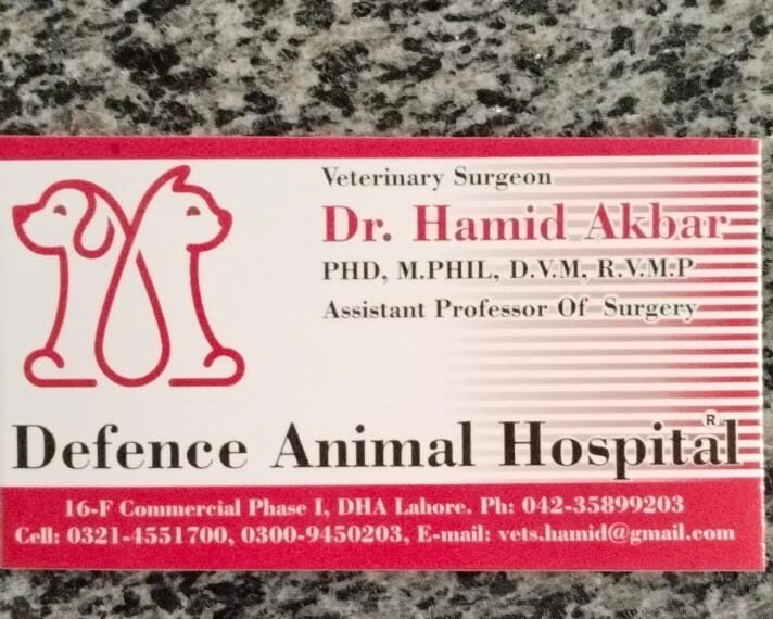 WhatsApp Image 2026-01-29 at 12.08.57 PM